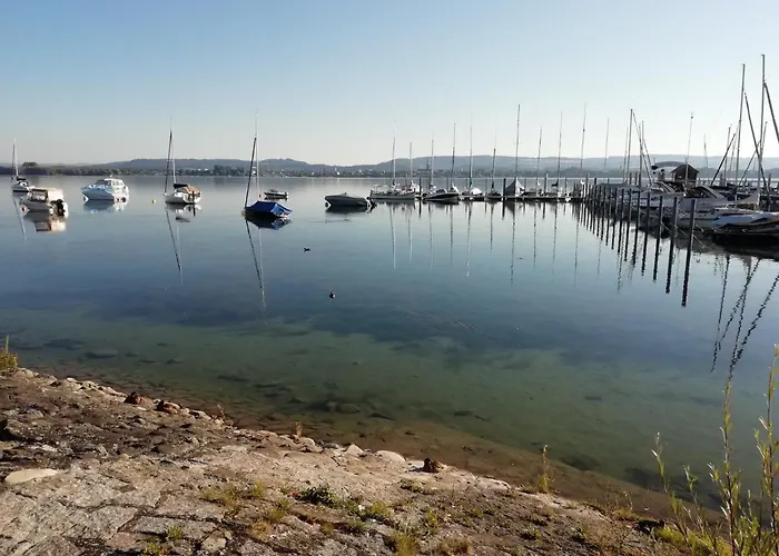 Sonnenhalde * 무스